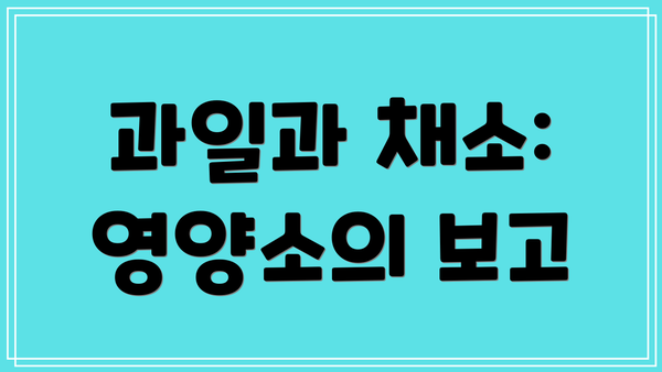 과일과 채소: 영양소의 보고