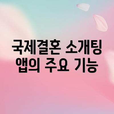 국제결혼 소개팅 앱의 주요 기능