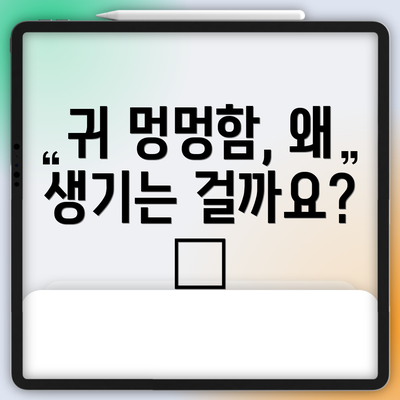 귀 멍멍함, 왜 생기는 걸까요? 🤔