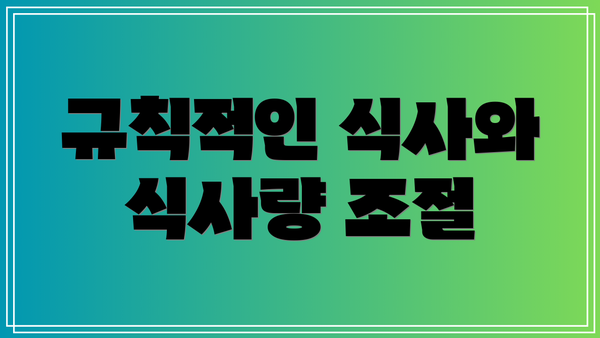 규칙적인 식사와 식사량 조절