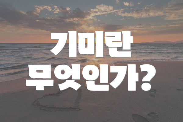 기미란 무엇인가?