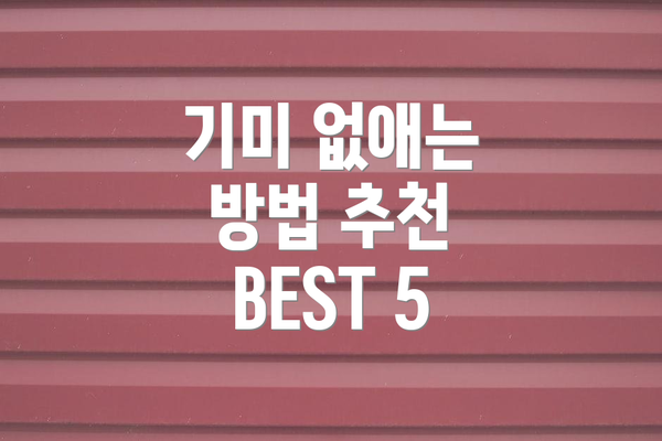 기미 없애는 방법 추천 BEST 5