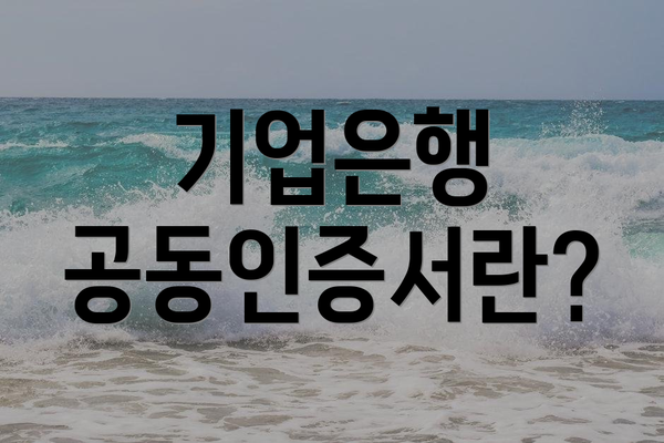 기업은행 공동인증서란?