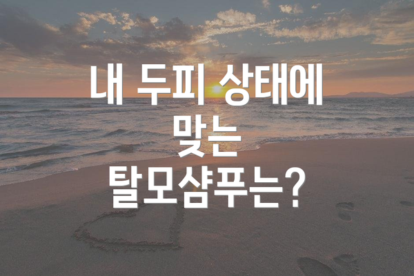 내 두피 상태에 맞는 탈모샴푸는?