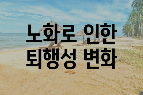 노화로 인한 퇴행성 변화