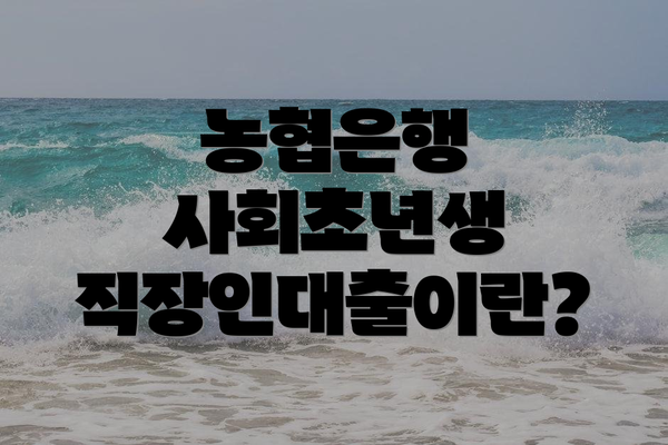 농협은행 사회초년생 직장인대출이란?