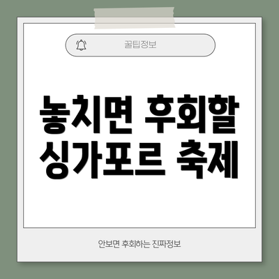 놓치면 후회할 싱가포르 축제