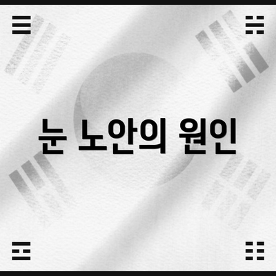 눈 노안의 원인