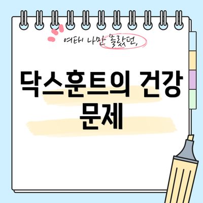 닥스훈트의 건강 문제