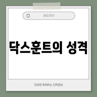 닥스훈트의 성격