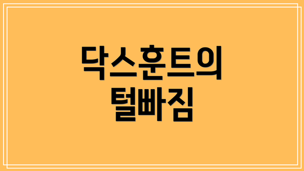 닥스훈트의 털빠짐