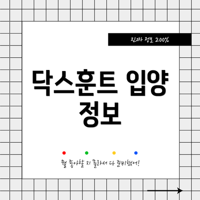 닥스훈트 입양 정보