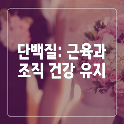 단백질: 근육과 조직 건강 유지