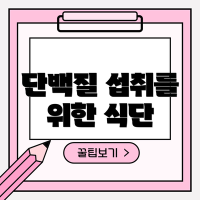 단백질 섭취를 위한 식단