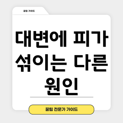 대변에 피가 섞이는 다른 원인