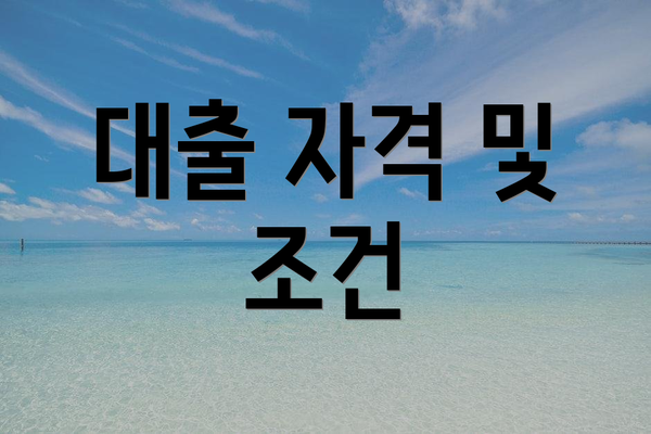 대출 자격 및 조건