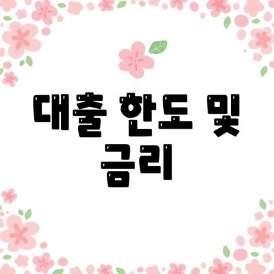 대출 한도 및 금리