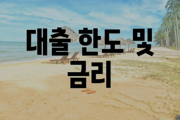 대출 한도 및 금리