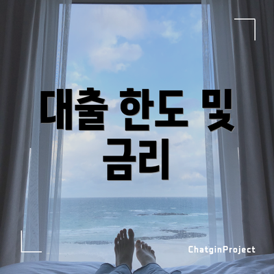 대출 한도 및 금리