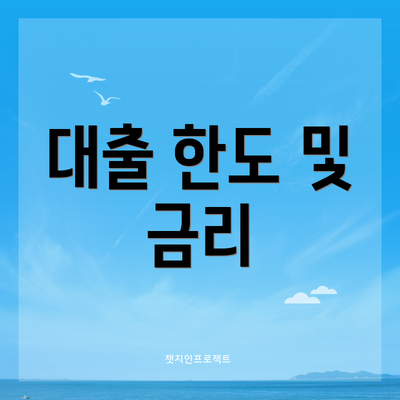 대출 한도 및 금리