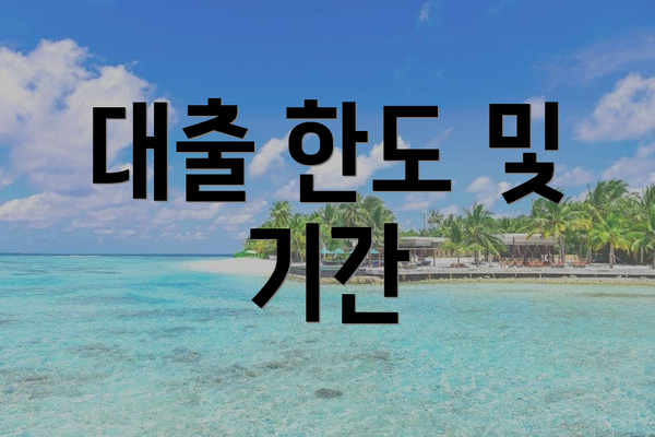 대출 한도 및 기간