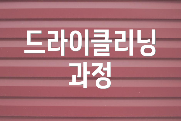 드라이클리닝 과정