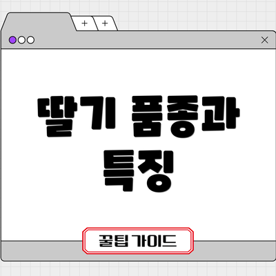 딸기 품종과 특징