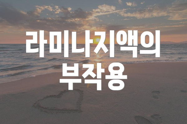 라미나지액의 부작용