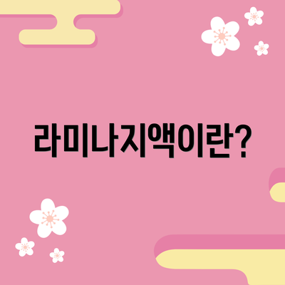 라미나지액이란?