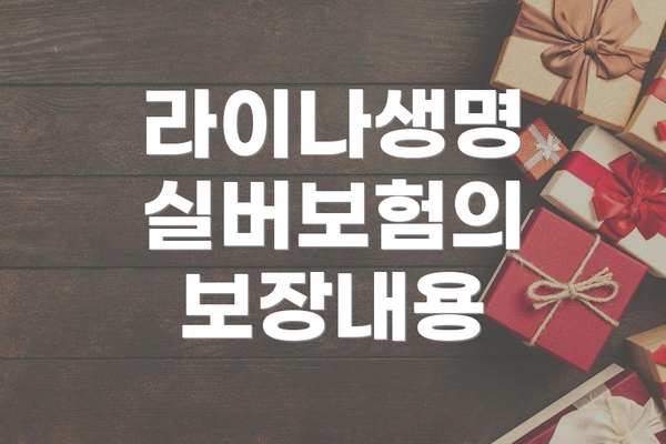 라이나생명 실버보험의 보장내용