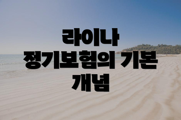 라이나 정기보험의 기본 개념