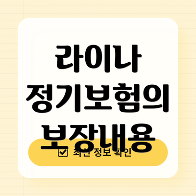 라이나 정기보험의 보장내용