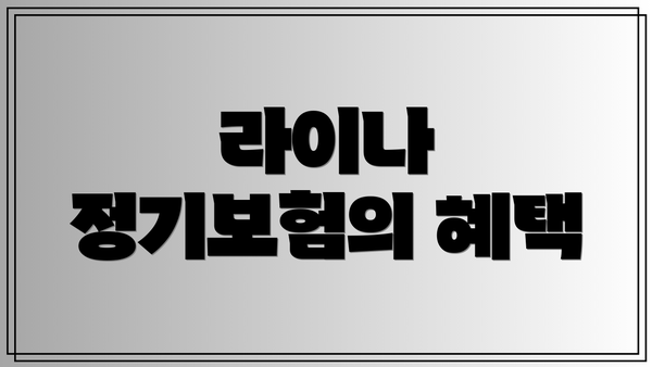 라이나 정기보험의 혜택