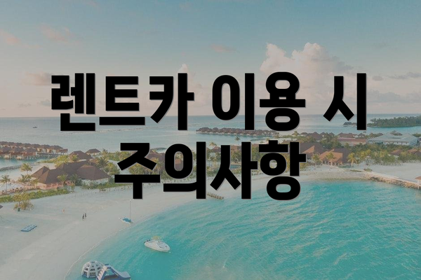 렌트카 이용 시 주의사항