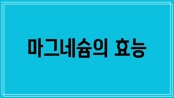 마그네슘의 효능