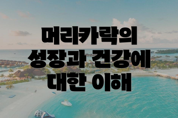 머리카락의 성장과 건강에 대한 이해