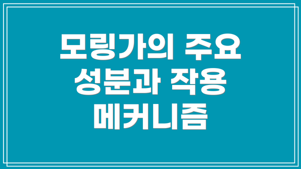 모링가의 주요 성분과 작용 메커니즘