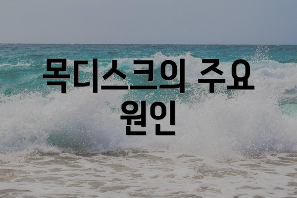 목디스크의 주요 원인