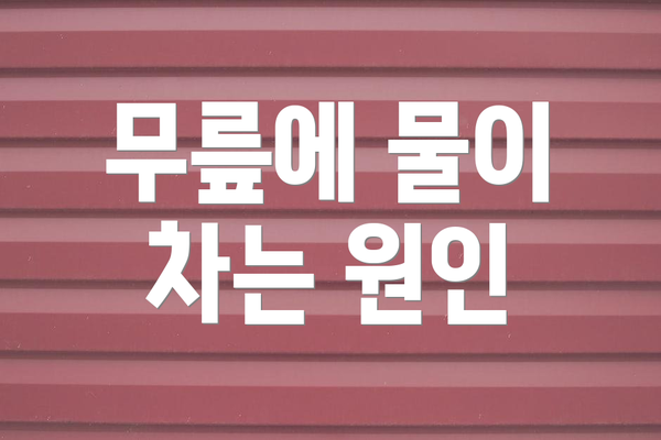 무릎에 물이 차는 원인