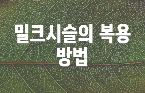 밀크시슬의 복용 방법