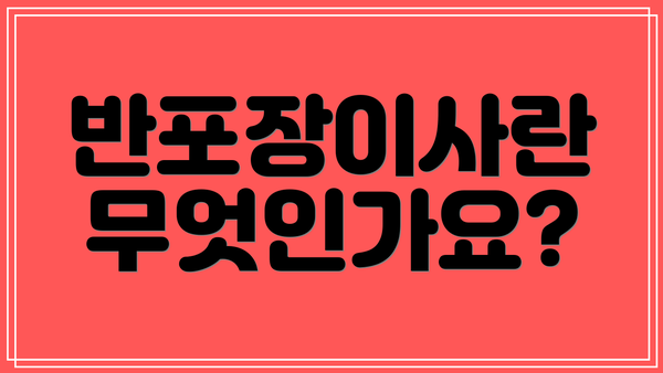 반포장이사란 무엇인가요?