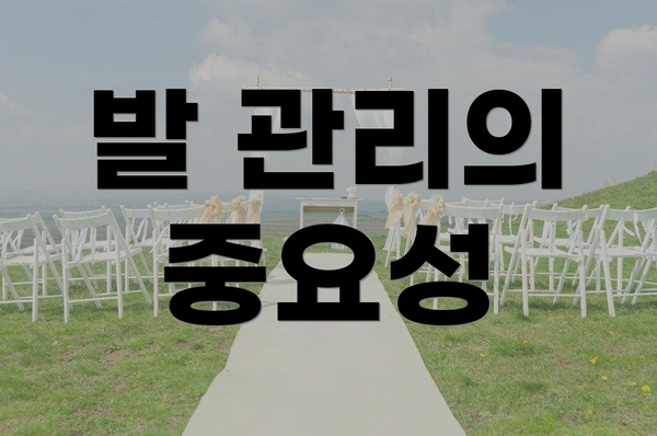 발 관리의 중요성