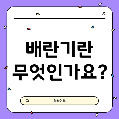 배란기란 무엇인가요?
