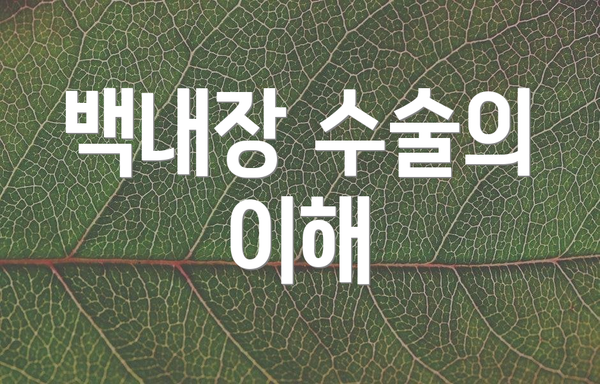 백내장 수술의 이해