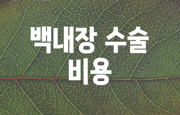 백내장 수술 비용