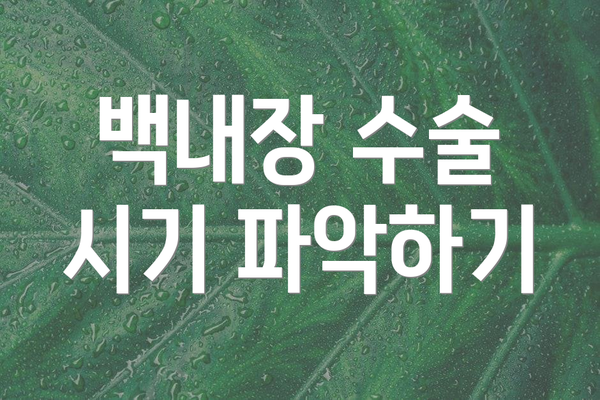 백내장 수술 시기 파악하기