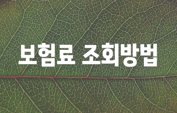 보험료 조회방법