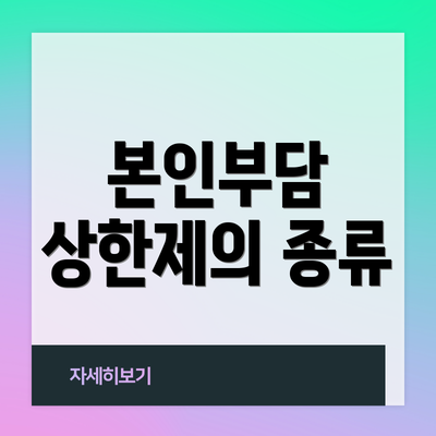 본인부담 상한제의 종류