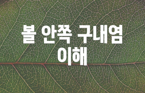 볼 안쪽 구내염 이해