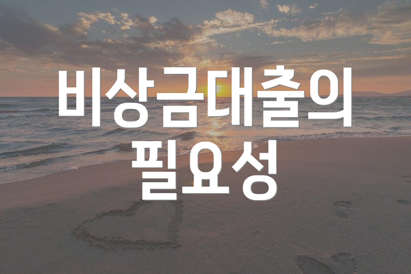 비상금대출의 필요성